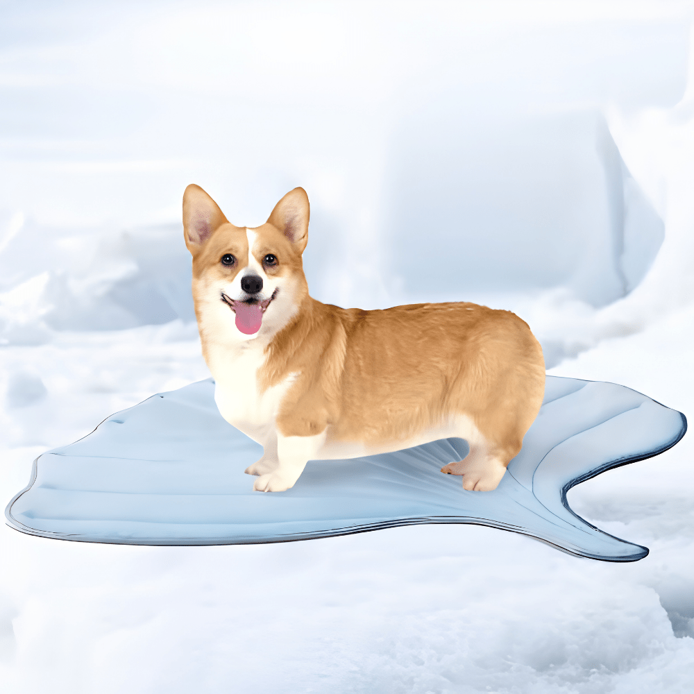 Portable dog cooling mat designed for medium pets, featuring a washable, gel-free sleeping pad that provides comfort and keeps your furry friend cool during warm weather. 0